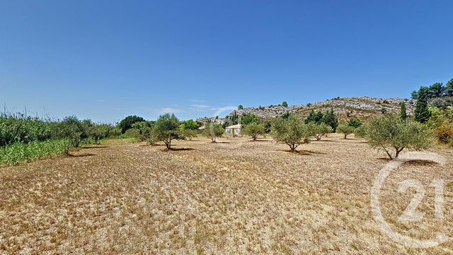 maison - PARADOU - 13
