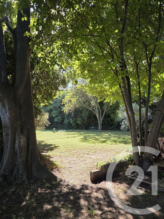 maison à vendre - 6 pièces - 212.4 m2 - RAPHELE LES ARLES - 13 - PROVENCE-ALPES-COTE-D-AZUR - Century 21 Horizons