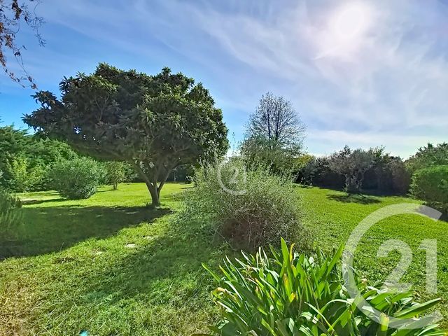 maison à vendre - 6 pièces - 170.41 m2 - ARLES - 13 - PROVENCE-ALPES-COTE-D-AZUR - Century 21 Horizons