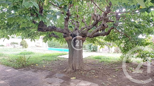 maison à louer - 5 pièces - 140.52 m2 - ST MARTIN DE CRAU - 13 - PROVENCE-ALPES-COTE-D-AZUR - Century 21 Horizons