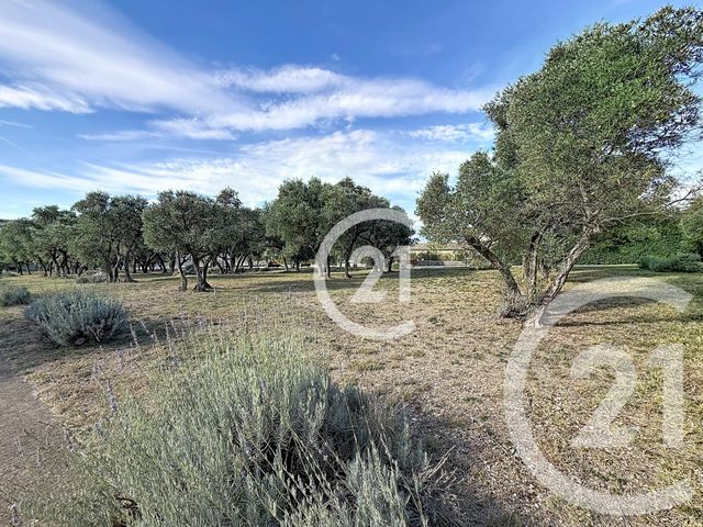 Appartement F3 à vendre - 3 pièces - 56.11 m2 - PARADOU - 13 - PROVENCE-ALPES-COTE-D-AZUR - Century 21 Horizons