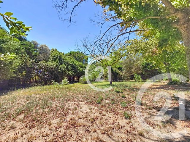 maison à vendre - 6 pièces - 134.1 m2 - MAS THIBERT - 13 - PROVENCE-ALPES-COTE-D-AZUR - Century 21 Horizons