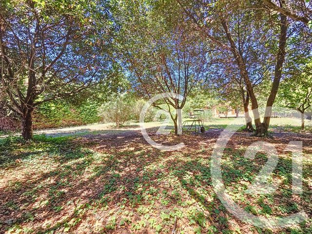 maison à vendre - 6 pièces - 134.1 m2 - MAS THIBERT - 13 - PROVENCE-ALPES-COTE-D-AZUR - Century 21 Horizons