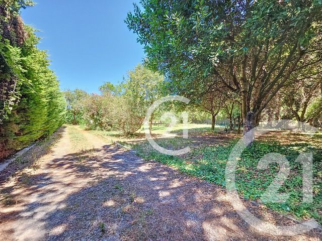 maison à vendre - 6 pièces - 134.1 m2 - MAS THIBERT - 13 - PROVENCE-ALPES-COTE-D-AZUR - Century 21 Horizons